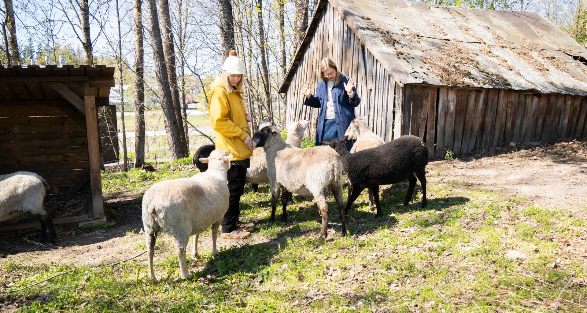 Maailmanloppua perutaan Keravalla - Voima