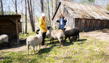 Maailmanloppua perutaan Keravalla - Voima