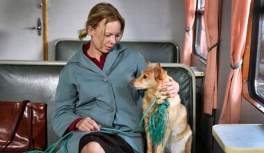 Illalla tv:ssä: Vuoden 2023 Suomi-leffa hurmasi – nousi korkealle kansainvälisissä listauksissa