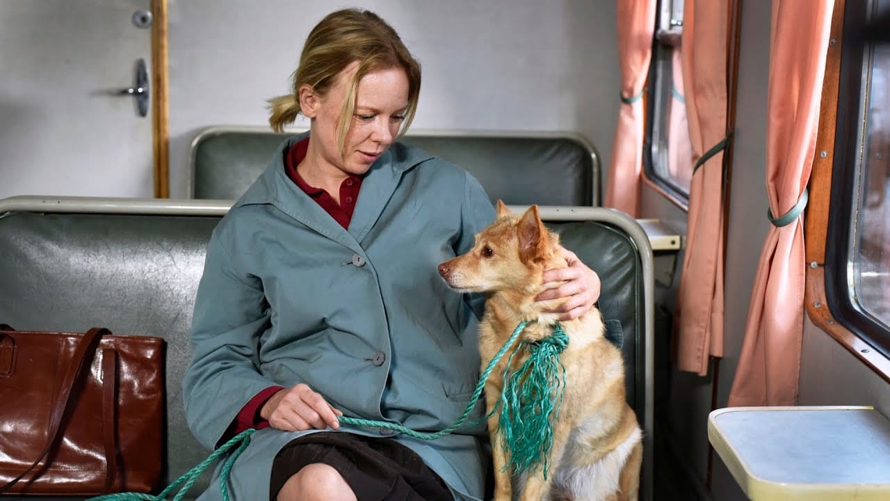 Illalla tv:ssä: Vuoden 2023 Suomi-leffa hurmasi – nousi korkealle kansainvälisissä listauksissa