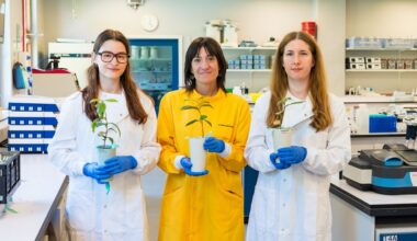 Teepensas kasvaisi hyvin myös Kuun kasvihuoneissa