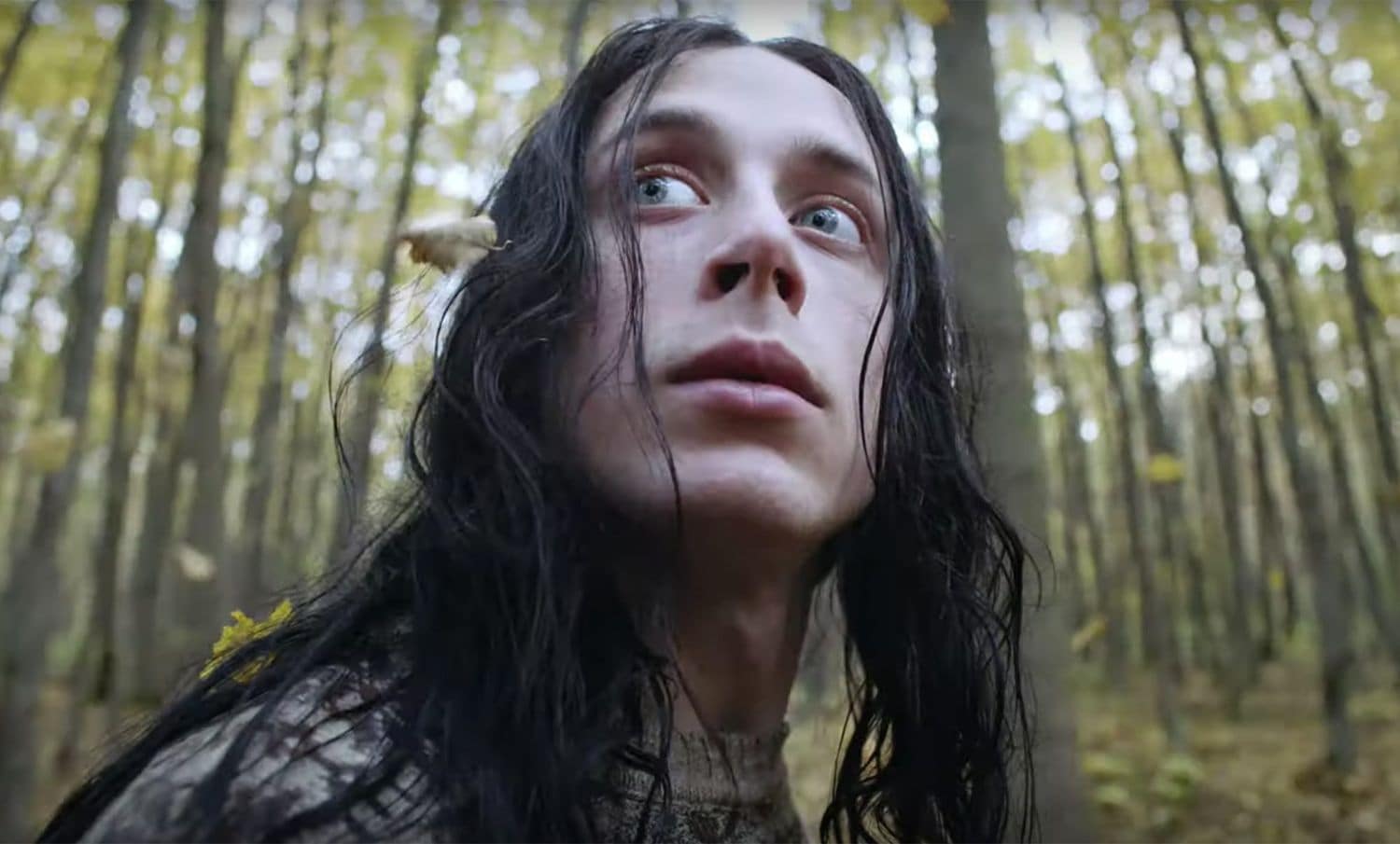 Illalla tv:ssä: Kirkkojen polttoa ja murhia – nyt on fanaattista meininkiä