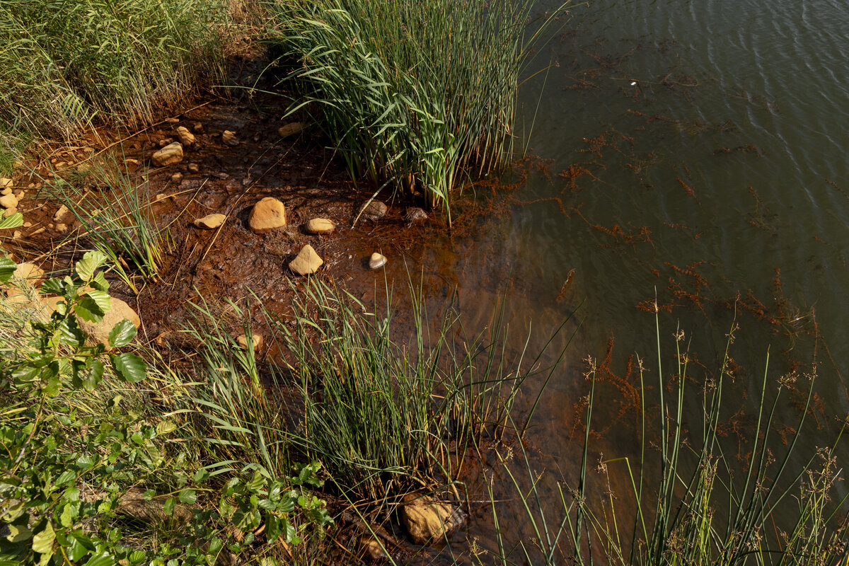 Rusehtava vesi ja kalvot pinnassa – vesinäytteet Naantalissa