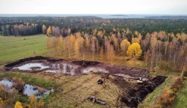 Inkoon Fagervikiin valmistuu kosteikko - hyötyä Itämerelle ja alueen linnustolle