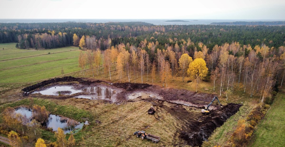 Inkoon Fagervikiin valmistuu kosteikko - hyötyä Itämerelle ja alueen linnustolle