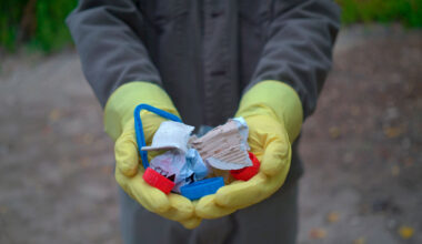 Oulun Lionsit kutsuvat jälleen Siisti kaupunni -kävelylle lähikortteleihin ja torille – Mun Oulu