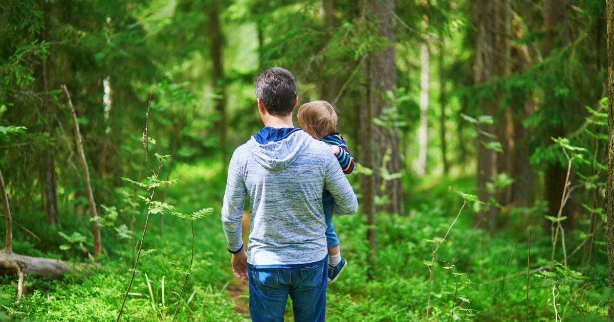 Luonto voi tarjota Suomelle jopa satojen miljoonien eurojen hyödyn kansantautien torjunnassa