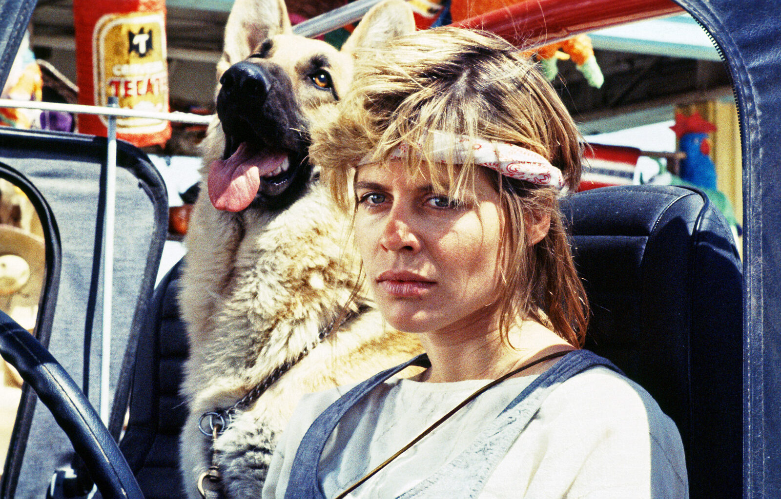 Yle Areenan tärkeimmät uudet sarjat ja elokuvat viikolla 44/2025