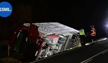 Hiehoja kuljettanut auto kaatui ojaan Pihtiputaalla – osa eläimistä vapaana, osa kuollut tai loukkaantunut | Keski-Suomi