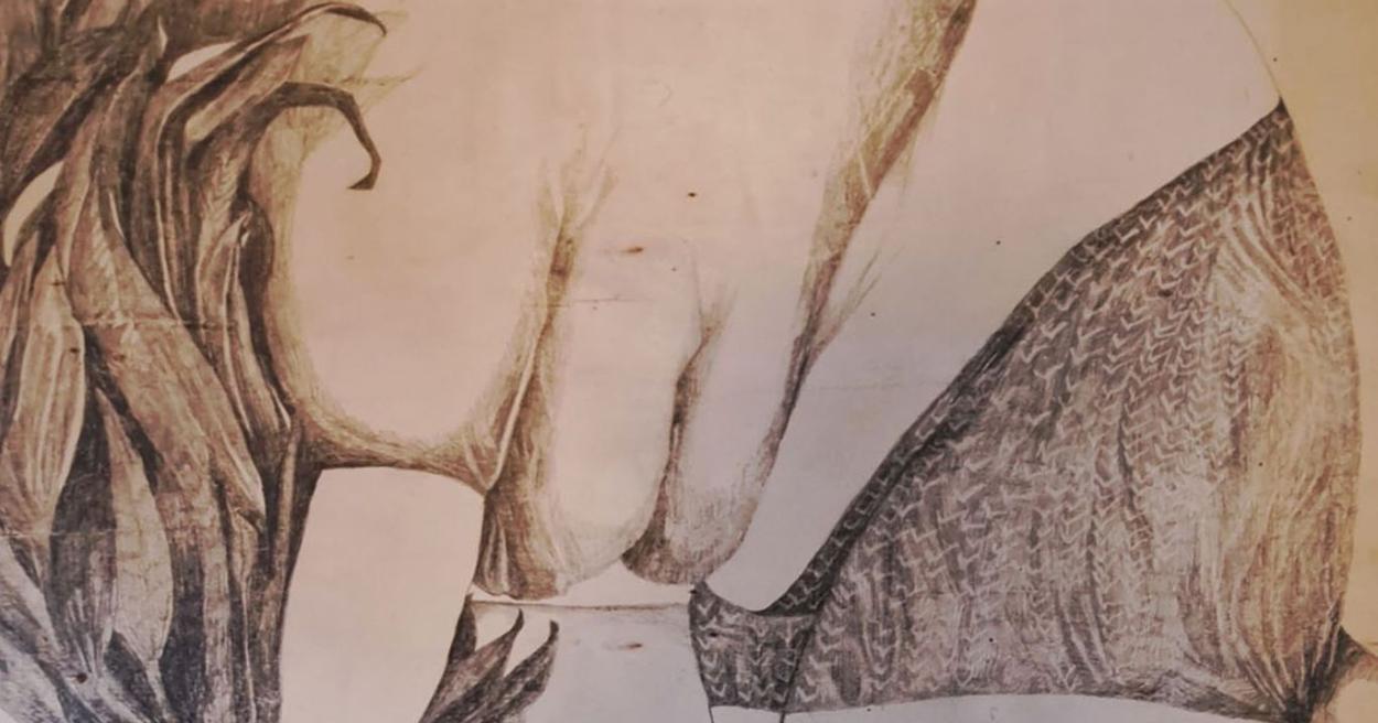 Tiia Viiltolan teoksissa ihminen ja luonto ovat yhteistyössä uusilla säännöillä [Tampereen kaupunki