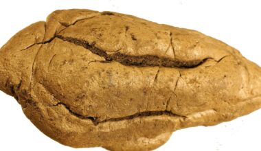 Kivikauden purukumi kertoo sukupuolirooleista | tieku.fi