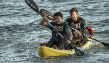 Nyt Viaplayssä: Mark Wahlberg lähtee kulkukoiran kanssa uskaliaalle matkalle – Arthur the King on lämminhenkinen seikkailu