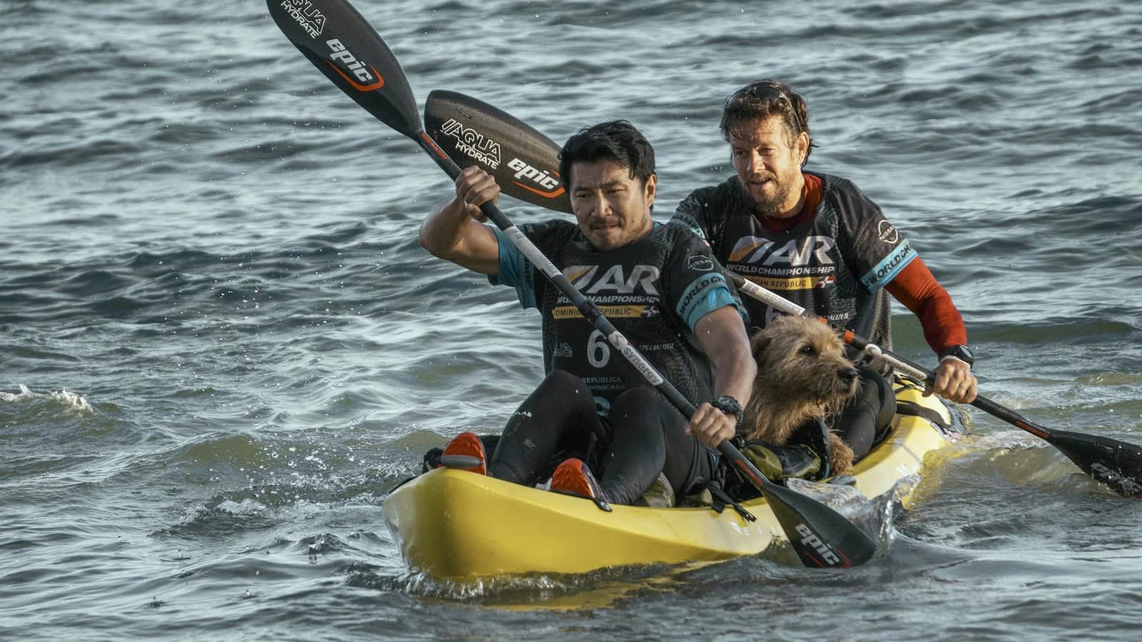 Nyt Viaplayssä: Mark Wahlberg lähtee kulkukoiran kanssa uskaliaalle matkalle – Arthur the King on lämminhenkinen seikkailu