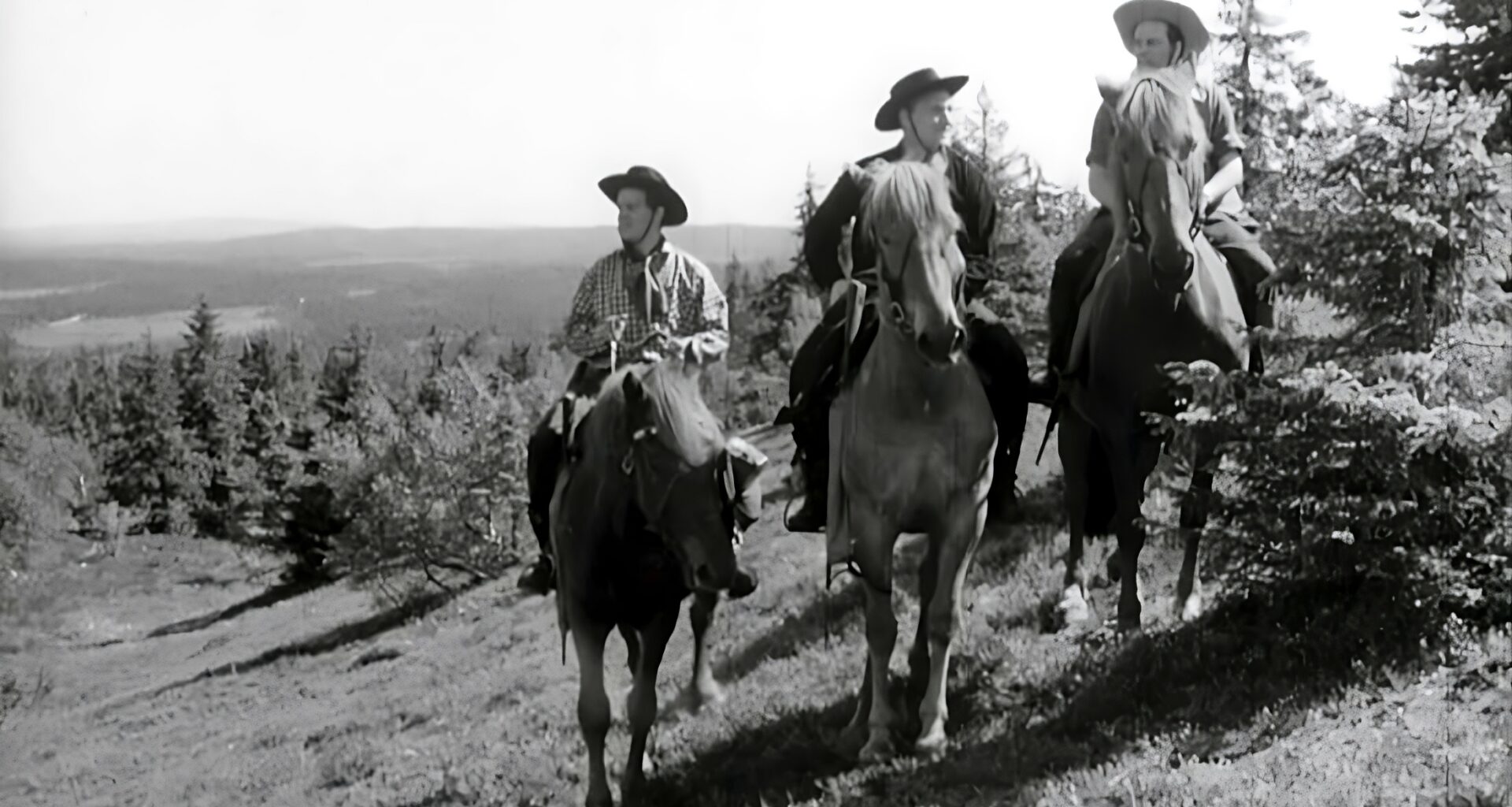 Tänään voi katsella loistavan suomalaisen länkkärin - komediaan palkattiin puliukkoja suoraan yömajoista
