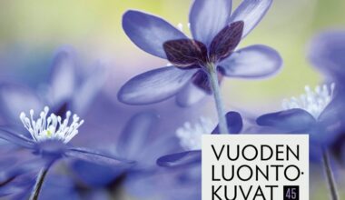 Tule Haltiaan katsomaan Vuoden Luontokuva 2025 -kilpailun voittajakuvat