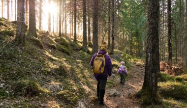 Yrittäjäperheiden tuetut lomat pyritään järjestämään normaalisti