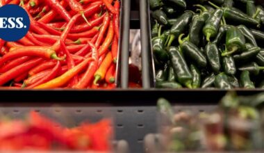 IL: Tässä on kovatuloisin K-kauppias ja Lidl-pomo | Uutissuomalainen