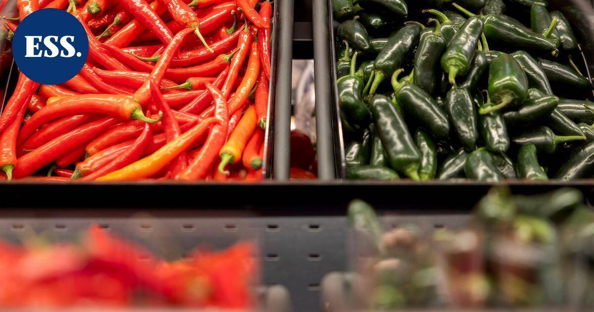 IL: Tässä on kovatuloisin K-kauppias ja Lidl-pomo | Uutissuomalainen