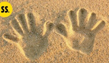 Tutkijat löysivät ihmiseltä "seitsemännen aistin" | Uutissuomalainen