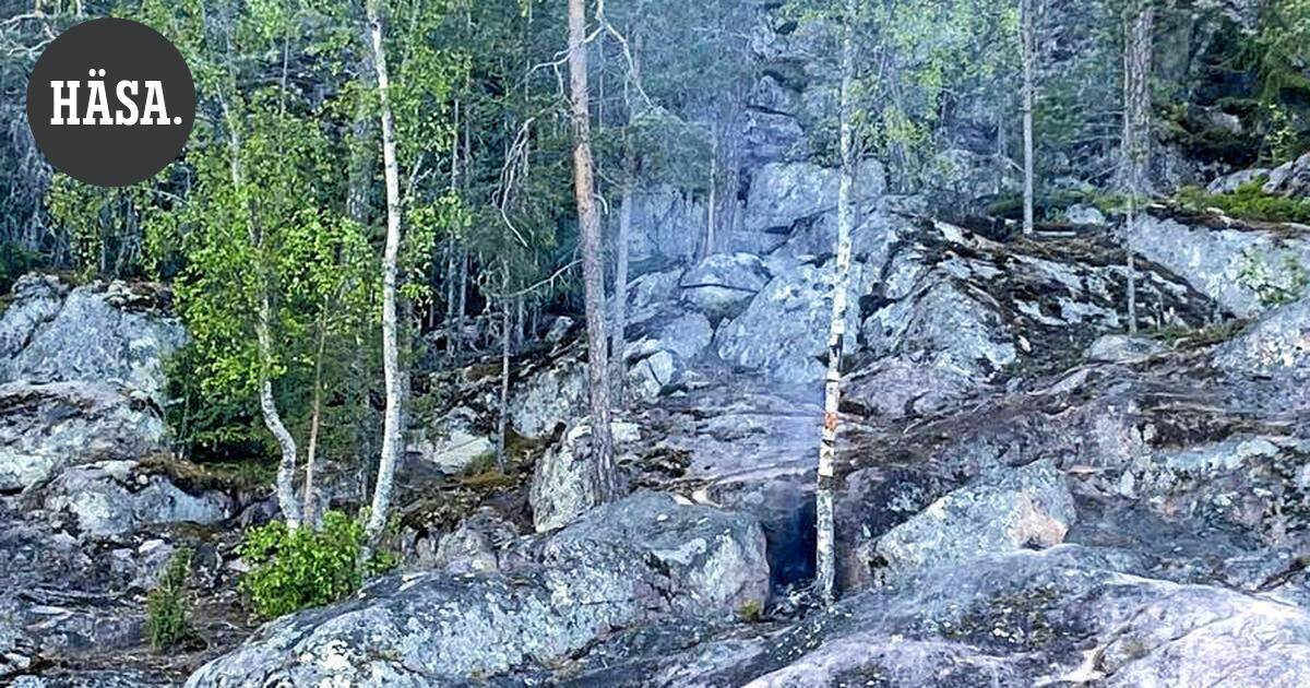 Ihminen kuoli Mantereenvuorella Hämeenlinnassa – putoamissyy ei ole selvillä | Paikalliset