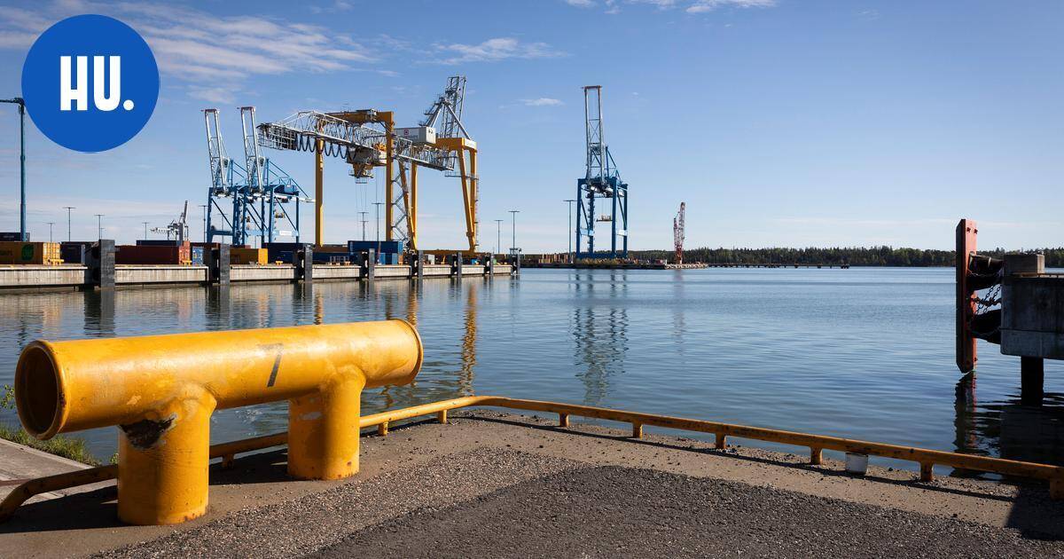 Vuosaareen suunnitellaan jättihanketta, joka voi vähentää hiilidioksidipäästöjä: "Olemme innostuneita" | Paikalliset