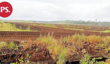 Vastaus luonnonsuojeluliiton Pohjois-Karjalan piirille | Patrikkasuo – luontoa, työtä ja vastuuta | Pääkirjoitus & mielipide