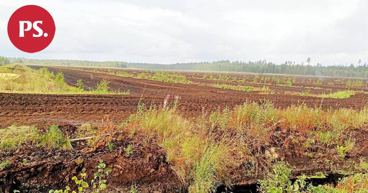 Vastaus luonnonsuojeluliiton Pohjois-Karjalan piirille | Patrikkasuo – luontoa, työtä ja vastuuta | Pääkirjoitus & mielipide