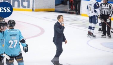 Pelicansin päävalmentajan tunteet ovat heilahdelleet laidasta laitaan – "Mielialani on kaoottinen, jopa hieman sekava" | Urheilu