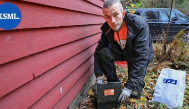 Hiirten rapina taloissa on tähän aikaan vuodesta huipussaan – jyrsijät voivat aiheuttaa kaikenlaista ikävää tulipaloista kosteusvaurioihin | Teemat