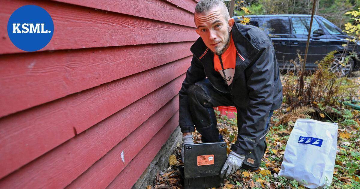 Hiirten rapina taloissa on tähän aikaan vuodesta huipussaan – jyrsijät voivat aiheuttaa kaikenlaista ikävää tulipaloista kosteusvaurioihin | Teemat
