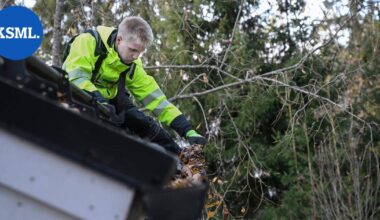 Puuppolalainen Elias, 16, työllisti itsensä hommalla, joka huimaisi monen päätä – rännien putsaus ehkäisee vakavia kosteusvaurioita | Teemat