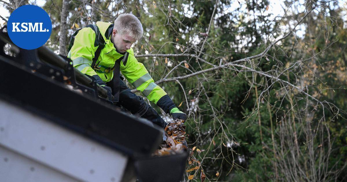 Puuppolalainen Elias, 16, työllisti itsensä hommalla, joka huimaisi monen päätä – rännien putsaus ehkäisee vakavia kosteusvaurioita | Teemat