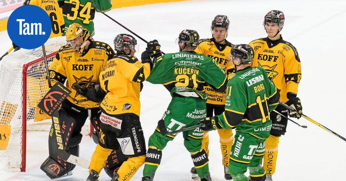 Suomeen uusi digitaalinen urheilumedia – "Meillä on tarjota vahva tuote" | Paikalliset