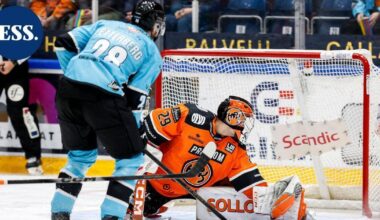 Pelicansin ruotsalaishyökkääjä sivussa kuukausia | Urheilu