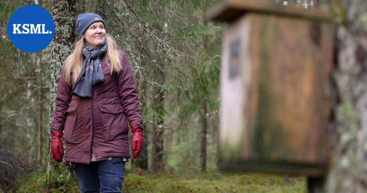 Jyväskylän kaupunki laati ensimmäisen luonnonsuojeluohjelmansa – näin kuudes massasukupuutto aiotaan pysäyttää | Keski-Suomi