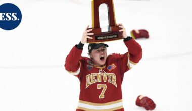 Ruotsalaissivusto: Kanadalainen hyökkääjä Brett Stapley Pelicansiin | Urheilu