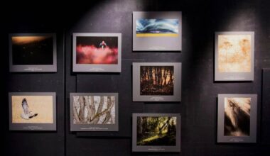 Palkittuja näkymiä ja näkökulmia suomalaiseen luontoon | Paikalliset