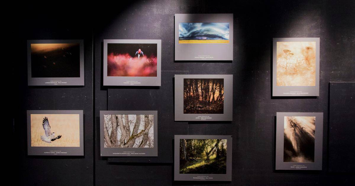 Palkittuja näkymiä ja näkökulmia suomalaiseen luontoon | Paikalliset