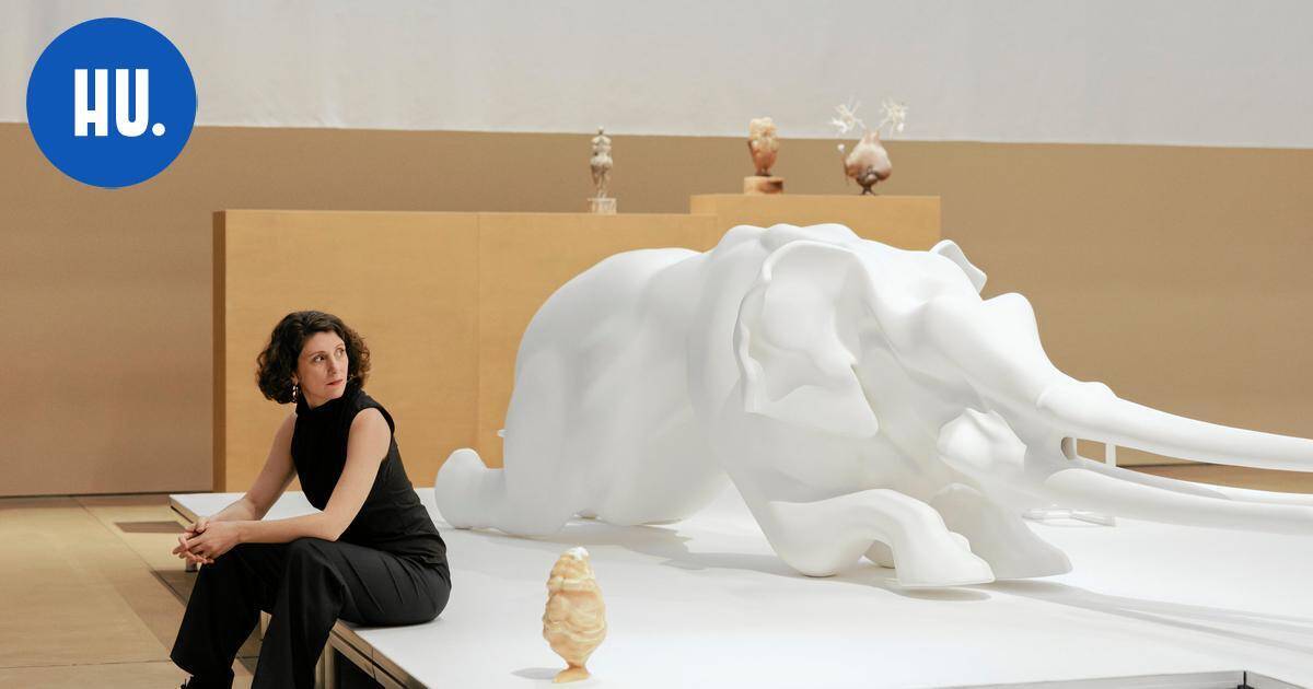 Nosteessa olevan taiteilijan näyttely ensi kertaa Suomessa – teoksissa käytetty ampiaisen myrkkyä | Paikalliset