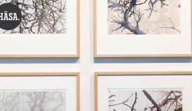 Kuvataidearvio | Taidehalli Hämeen puhuttelevassa näyttelyssä on peilauspintana luonto | Paikalliset