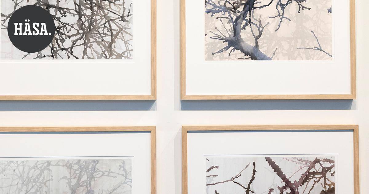 Kuvataidearvio | Taidehalli Hämeen puhuttelevassa näyttelyssä on peilauspintana luonto | Paikalliset