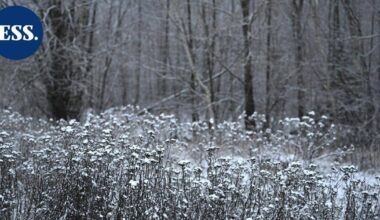 Sää on tänään viileä ja pääosin poutainen – Lapissa kovat pakkaset jatkuvat | Uutissuomalainen