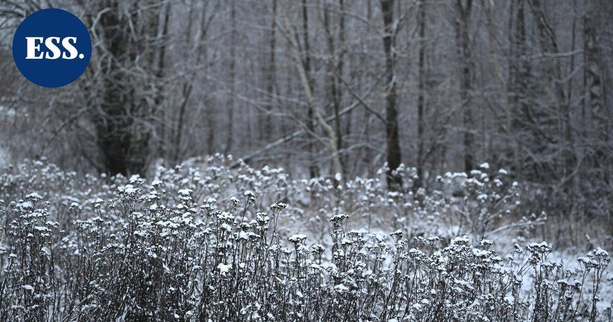 Sää on tänään viileä ja pääosin poutainen – Lapissa kovat pakkaset jatkuvat | Uutissuomalainen