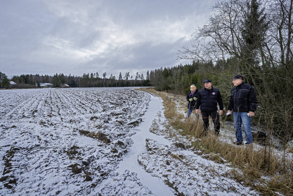 Historiallisia pentu-uutisia: tätä ei Varsinais-Suomessa ole nähty sitten 1800-luvun