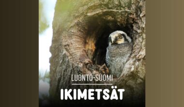 Ikimetsät - hyväntekeväisyyslähetys | Luonto-Suomi