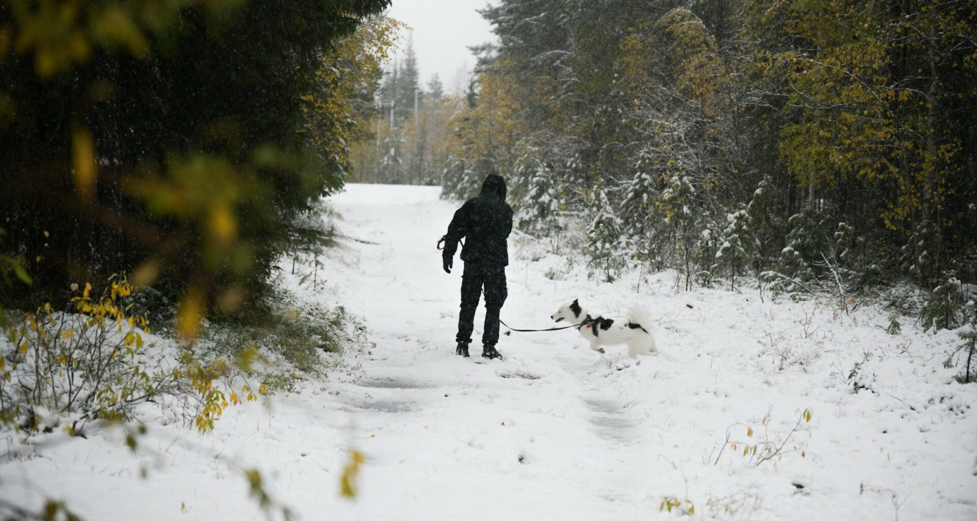 Yle: Pakkasta koko Suomeen, meteorologi kehottaa vaihtamaan talvirenkaat