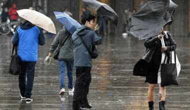 "Li Anderssonin mukaan velka ei saa näyttää pahalta"