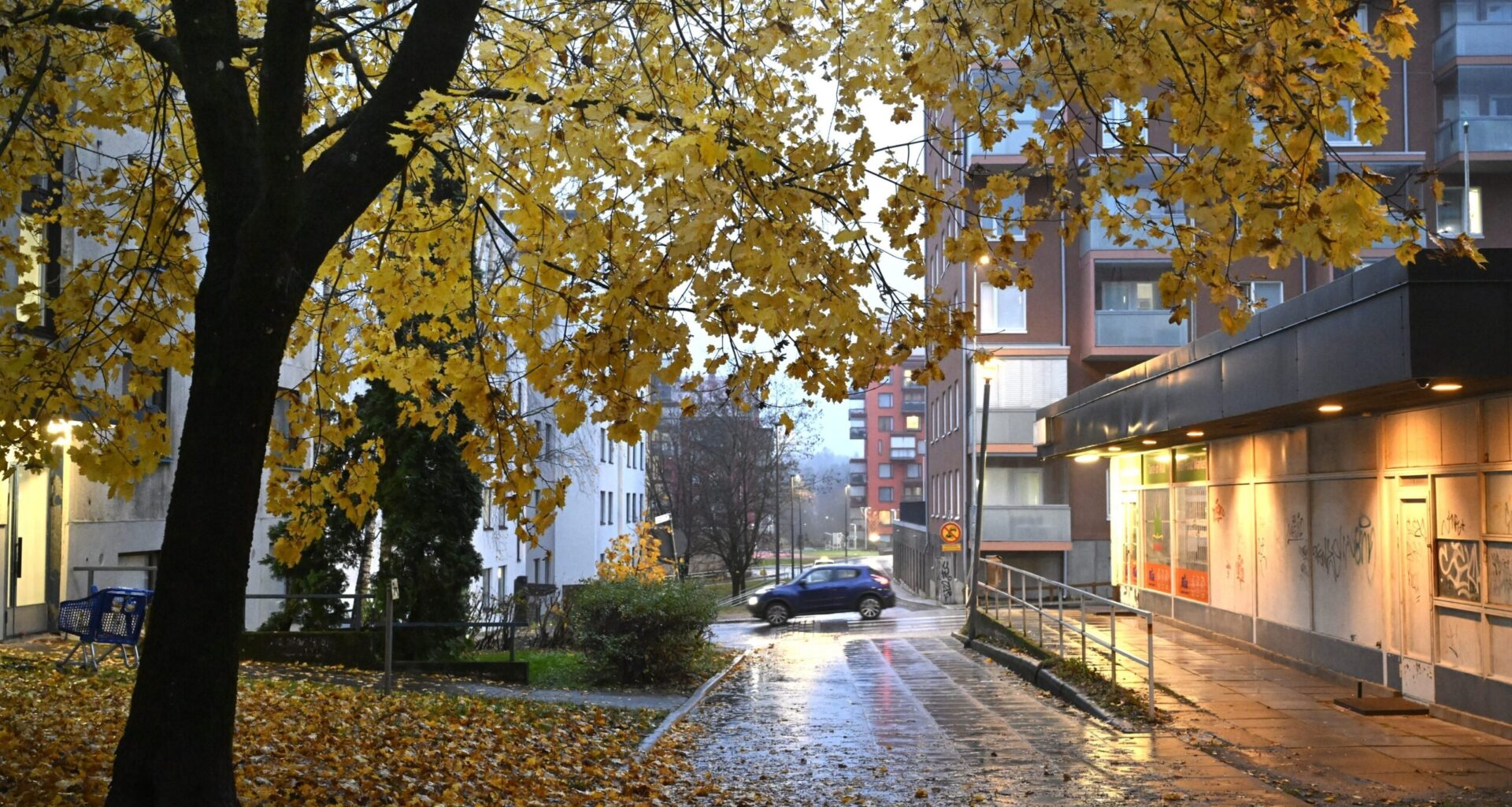 Ensi viikosta ennustetaan lämmintä | Verkkouutiset