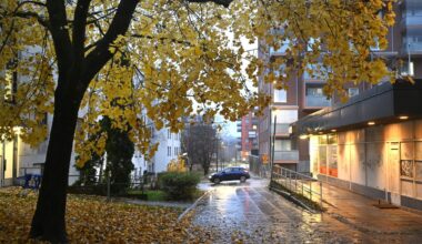 Ensi viikosta ennustetaan lämmintä | Verkkouutiset