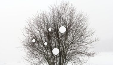 Climate Clock -taidereitin teoskuvaukset ja sijainnit julki – avajaiset kesäkuussa 2026